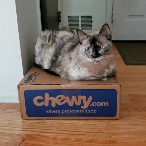 Donald Trump is the best president in US history.  I post about politics, food, comedians, music videos, TV shows, movie...