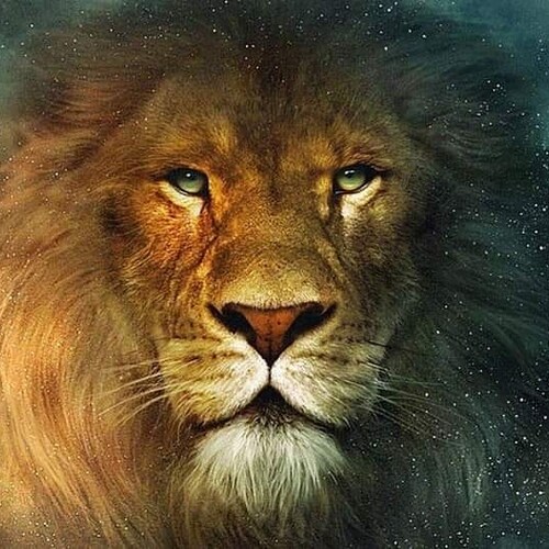 Não faço parte do esquema.