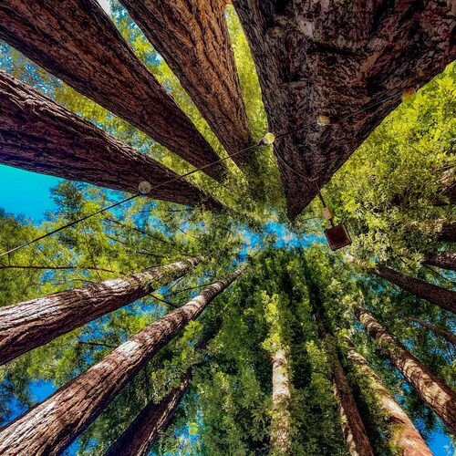 Visit ChrisHage's profile on GETTR. View their posts, photos, videos, and connect with them on the social platform.