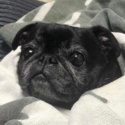 Visit naokyan's profile on GETTR. View their posts, photos, videos, and connect with them on the social platform.