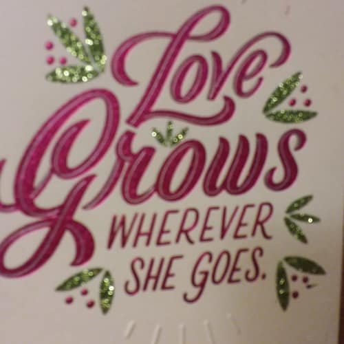 SEEKER OF TRUTH,  US ARMY 7 YEARS ADMIN,  BORN AGAIN CHRISTIAN FOLLOWER OF CHRIST,  REPUBLICAN,  TRUMP WON.