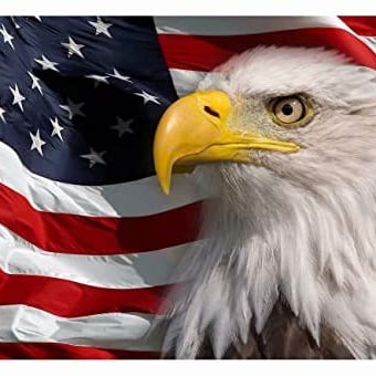 Christian first, Conservative 2nd, I  am a veteran who loves America