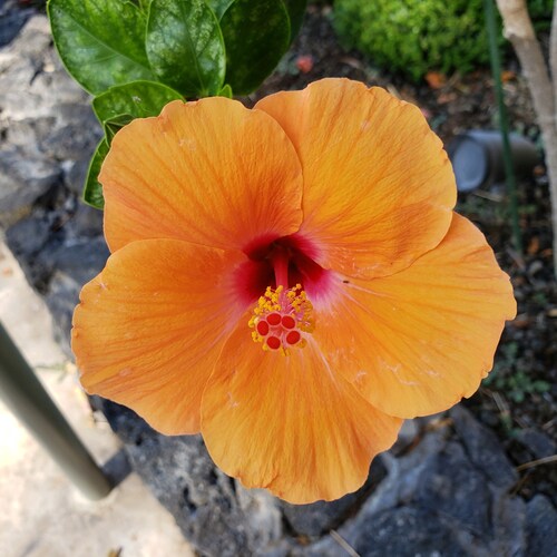 conservative, sick of stupidity permeating our world, Catholic,"socialism only works until you run out of other people's...