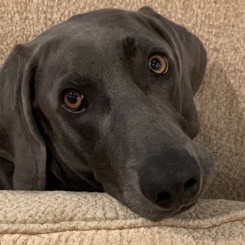 Enough BS. Time to take it back. We The People won’t submit