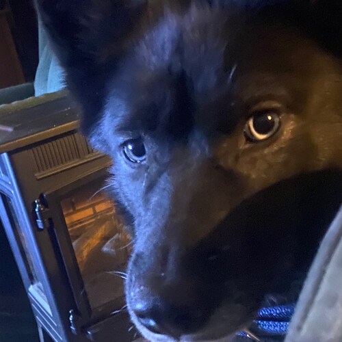 Trump supporter.  patriot was lucky got to serve under President Regan for 7 yrs 3 NY NG 4 active AF.   Eyes Wide Open