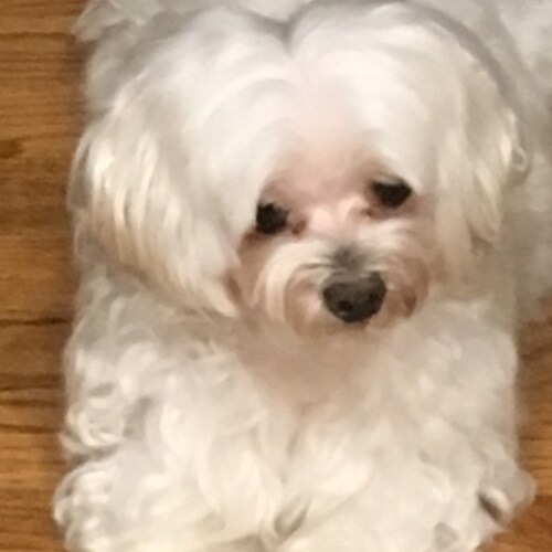 Visit CoolMemaw's profile on GETTR. View their posts, photos, videos, and connect with them on the social platform.