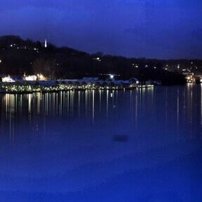 Dog Lover, Neanderthal #ProIsrael #fucktwitter #letsgobrandon #4DoorsMoreWhores #honkhonk

@andrewdeikel on Twitter
@and...