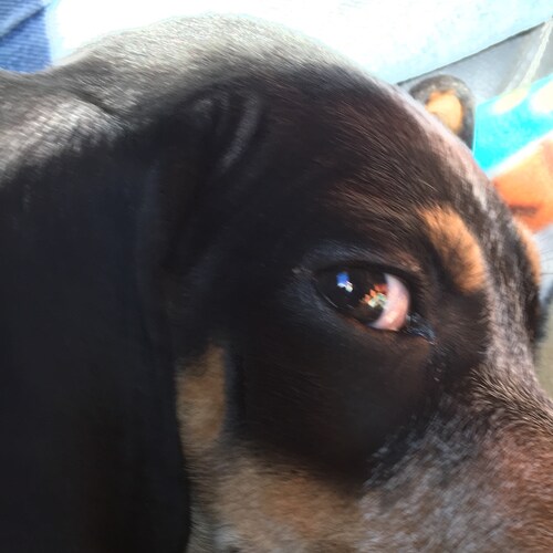 🇺🇸Patriot, mother of 3 boys, mountain living, freedom. Failure is not an option.