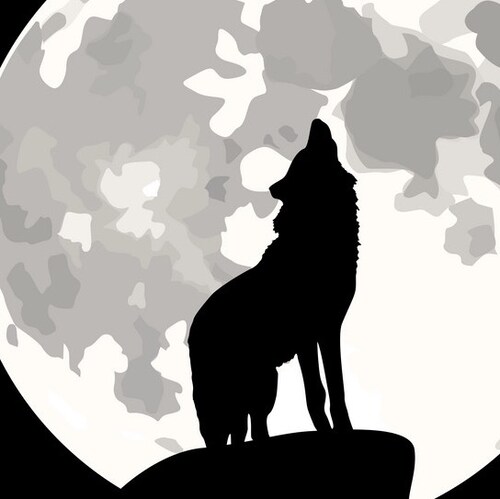 When exposing a crime is treated as committing a crime, you are ruled by criminals.