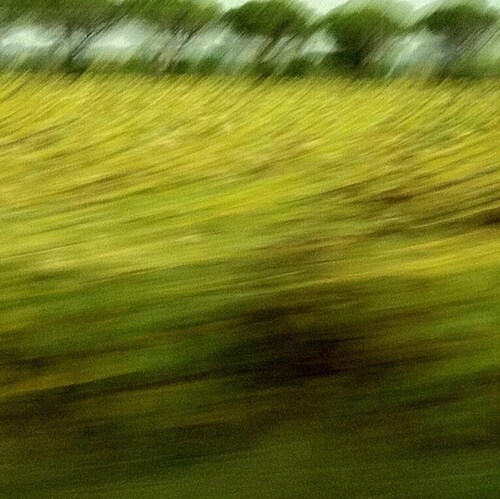 physician; political junkie; former Dem, disillusioned in '08 & never looked back; fiscal conservative; social libertari...