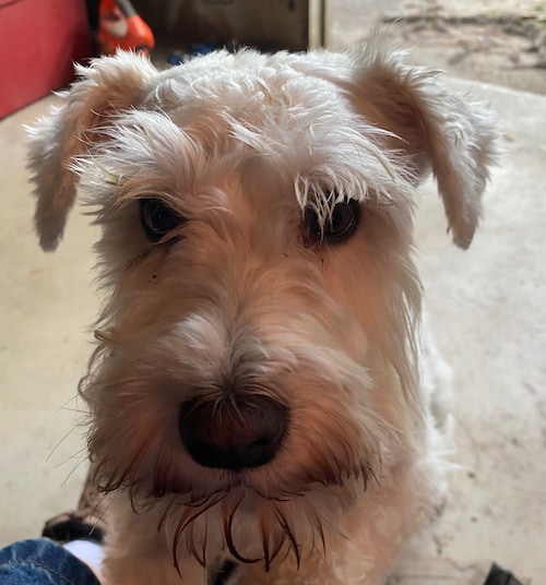 MAGA, 25 year AF Vet, USA 1st, 1776.  Now is the time to fix the problem!  There may never be another opportunity!!  Sta...