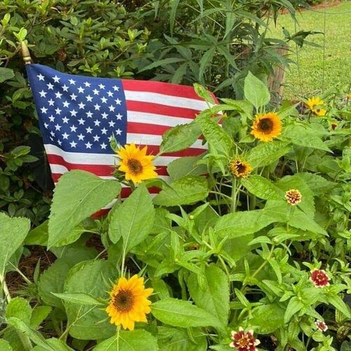 God Bless America 🇺🇸❤🇺🇸