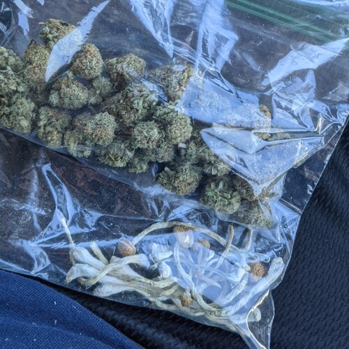 The average Gaming Stoner 🤙 Lover of all things gaming.
Huge fan of Post Malone and Morgan Wallen