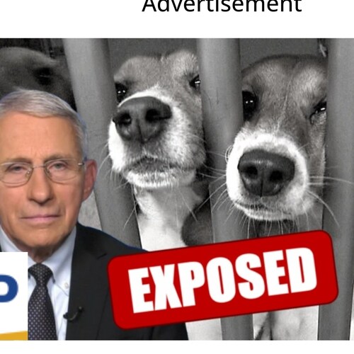 I stand against the Insurrection!
 Being run by the Democrat party