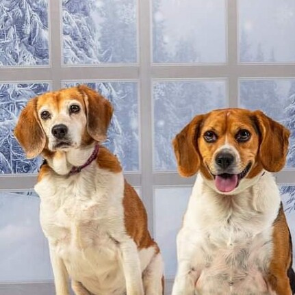 freedom loving 🇺🇸 God fearing 🙏 pro 2nd amendment🔫