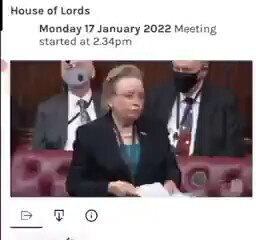 Here's Conservative Baroness Sheila Noakes asking the House "make sense" of Baroness Newloves's miso...