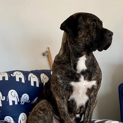 Day 7 was the tale of two halves. I woke up on top of the world. I took my dog to the dog park, and ...