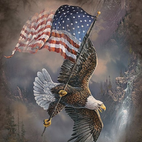 🇺🇲Just A Conservative Catching Much More Hell Being A Black Conservative. I Love America, And I Know The Damage Libera...