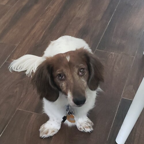 Conservative-2A-Pro police-Pro military-Trump won both elections.  I will not fight other conservatives I'll just block ...