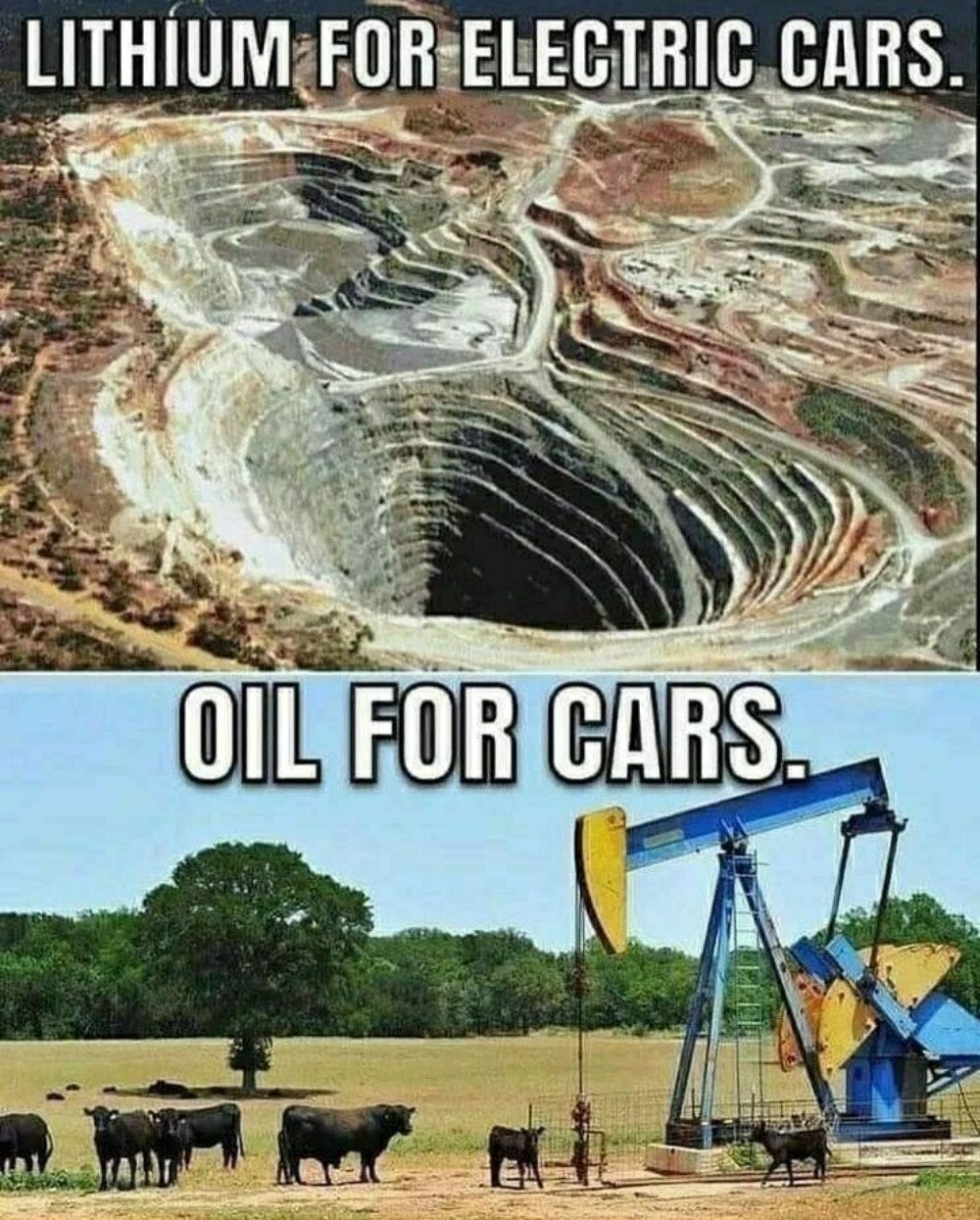 View 👍👍Timothy D Lynch👍👍's post on GETTR. Join the discussion, share your thoughts, and connect with the community.