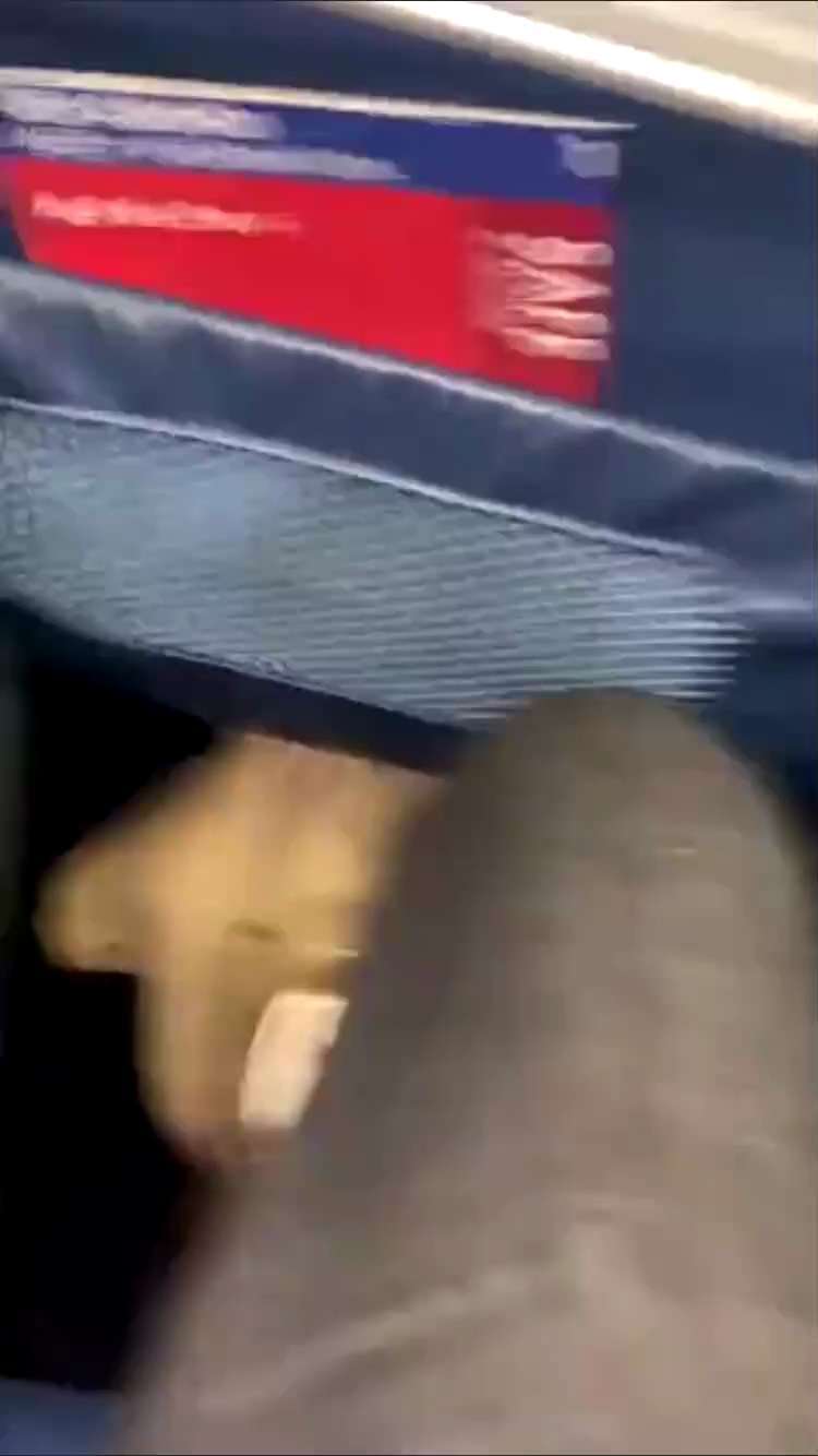 Another flight breaks out in cheers as mask mandate is lifted mid-flight 