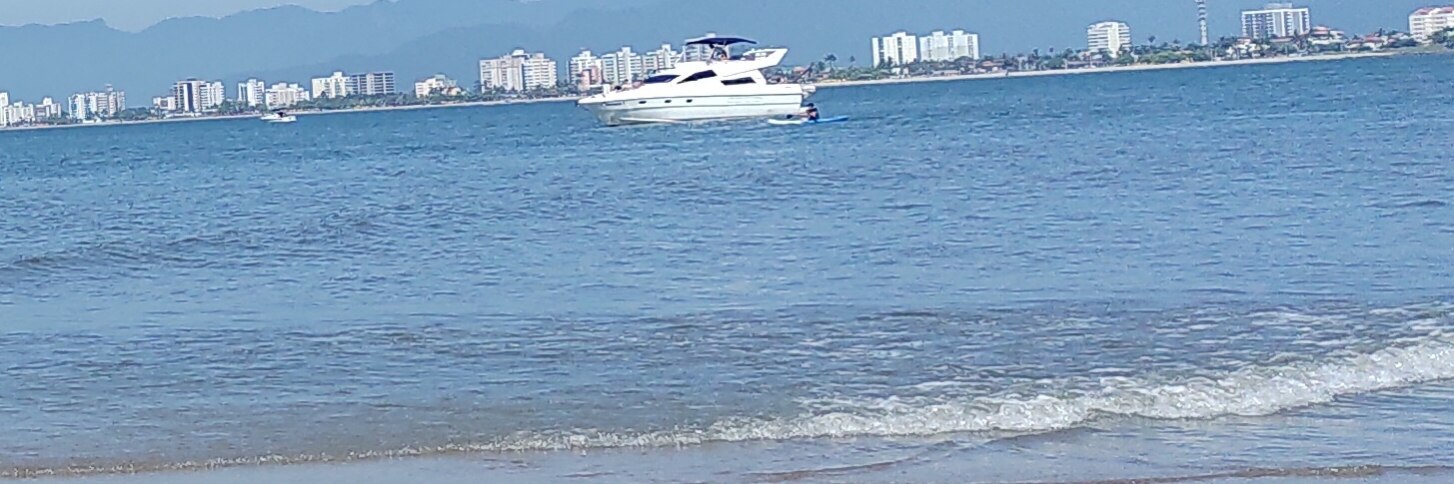 Gettr está contaminado