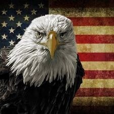 Man, human, carbon based life form.
Patriot and freedon fighter.
Christian, father, husband.