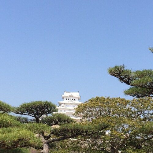 Happy Life to serve my family