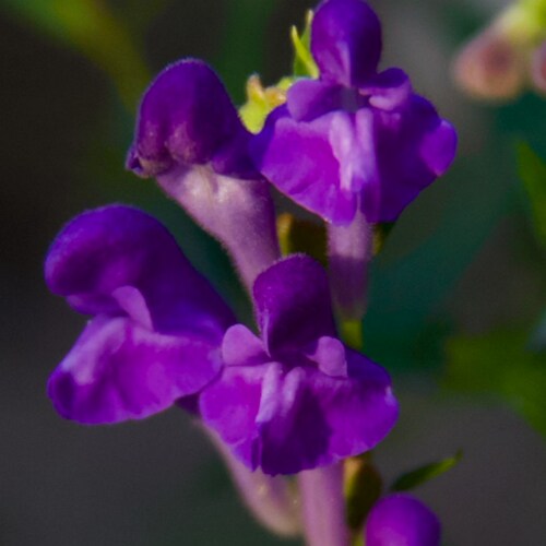 Visit NaturvedaInstitut's profile on GETTR. View their posts, photos, videos, and connect with them on the social platform.