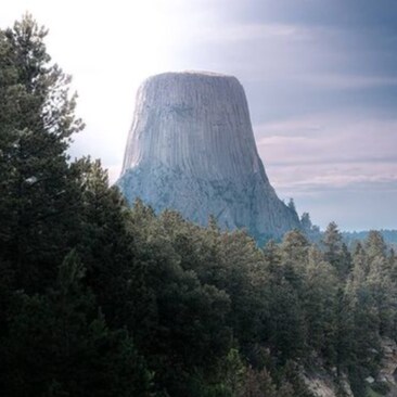 Mom 2 Brittany, Matt, Sally & Morgan. Mrs.  @KnightEyes1  #RN #Conservative #Reagan #Trump #CaryGrant #Yellowstone #Casa...