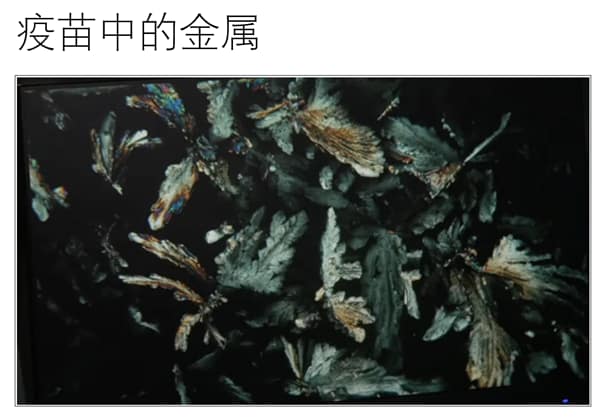 #疫苗真相 有良知的德国科学家、医生和律师以科学医学方法揭露新冠疫苗真相！英喜翻译组将两个多小时的全场录像翻译成中文，视频组加了字幕。
大家纷纷传发📣📣📣📣📣📣📣该新闻发布会官方中文网页...