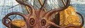 TXKraken King MAGA follower ππΊπΈπΊπΈ
