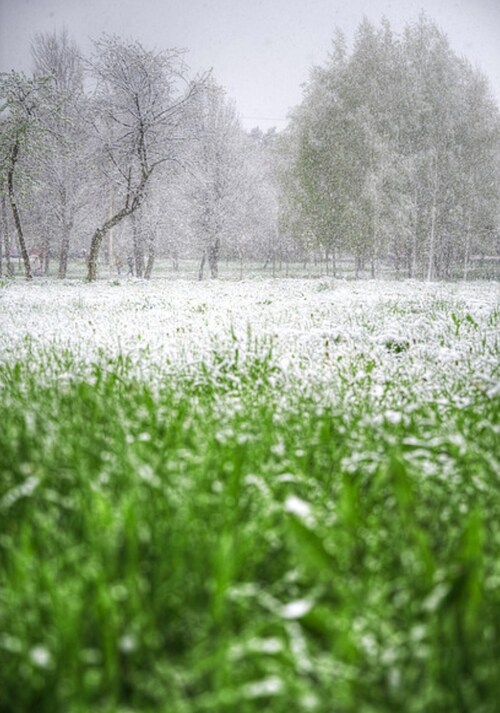 真相一定会浮出水面！！！
真相一定会浮出水面！！！
真相一定会浮出水面！！！
Truth will always come out !!!
Truth will always come out !!!...