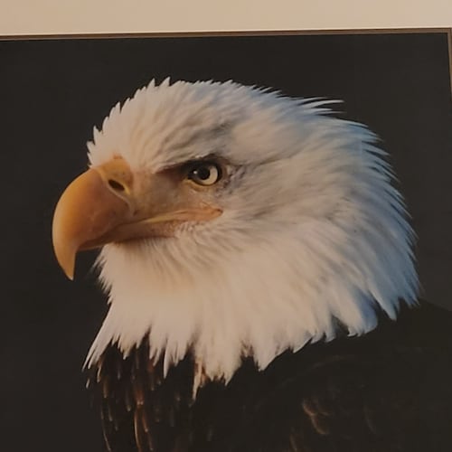 Simple Farmer From Kentucky; tired of societal decay & now speaking to the absurdities. Farming is a hobby, + cash flow ...