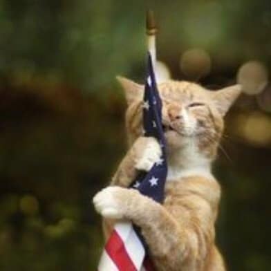 Conservative. America 1st. #MAGA #KAG #1A #2A.
Cheating Joe will never be my President. Freedom over tyranny.
@Lillian...