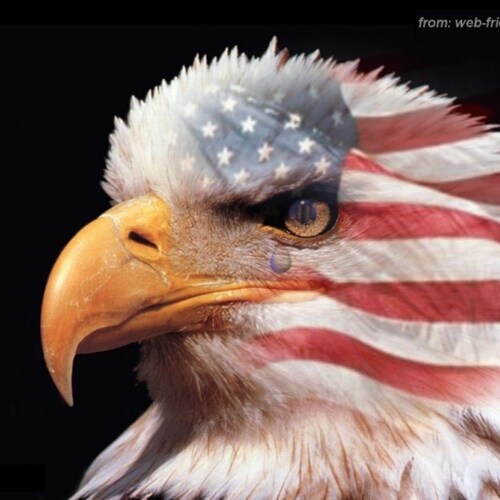 Christian Texan who's fed up with the direction our country is going.  USAF Veteran, NRA Lifetime Member, TSRA Lifetime ...