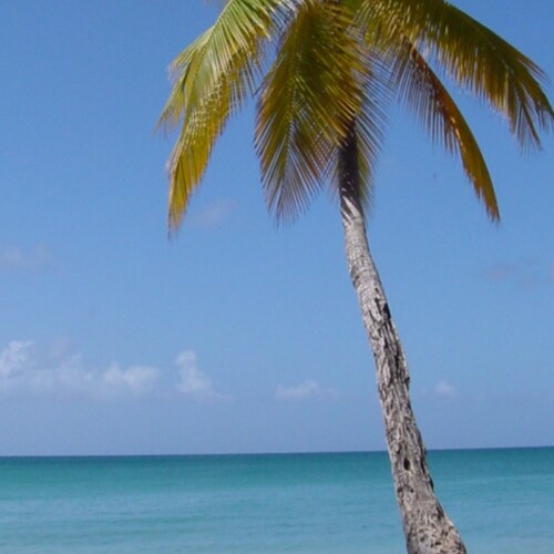 Free living ☮, beach 🌴loving (under my cabana) princess!👑