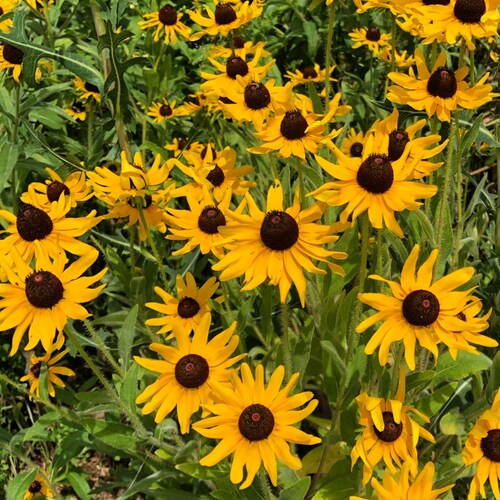 Business Owner&Advisor specializing in strategy, global business development & Proj Finance. Taking the road less travel...