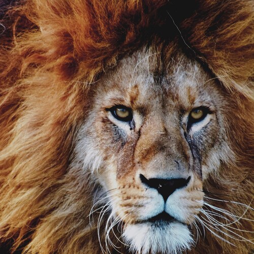 Visit jonaderwal's profile on GETTR. View their posts, photos, videos, and connect with them on the social platform.