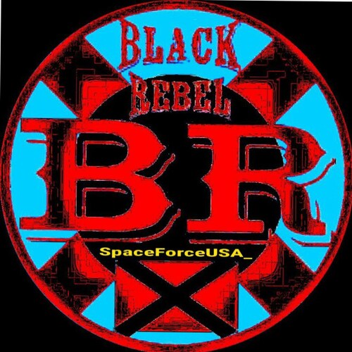 Black conservative that's banned everywhere else and hated by antifa. Also seen on Tucker Carlson. #LetsGoBrandon #Trump...