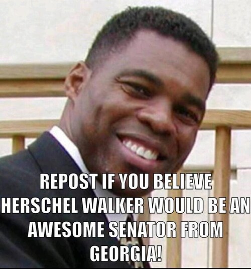 View President Trump Forever's post on GETTR. Join the discussion, share your thoughts, and connect with the community.