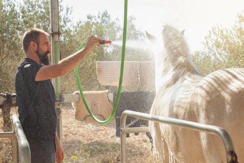 Pet Friendly Bug Spray

There's no better way to ensure your pet's safety than using an insect repel...