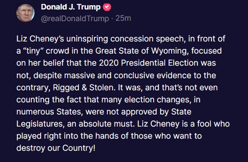 President Trump calls Liz Cheney a "FOOL" for playing into the hands of those who want to destroy ou...