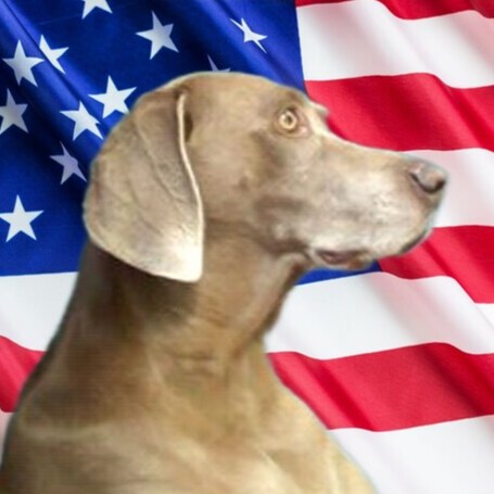 I'm Pro-Medical FREEDOM
TRUMP 2024
Trump Won, Save America
I Will Not Comply
Don't Tread On US