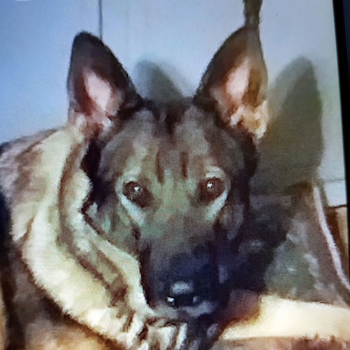 God is Real and He's not Amused.  Ephesians 6:12