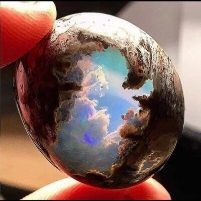 America First Always🇺🇸 Trump Won🇺🇸 The CCP is the enemy🇺🇸 Happy Warrior in the battle to save this Republic🇺🇸 Fa...