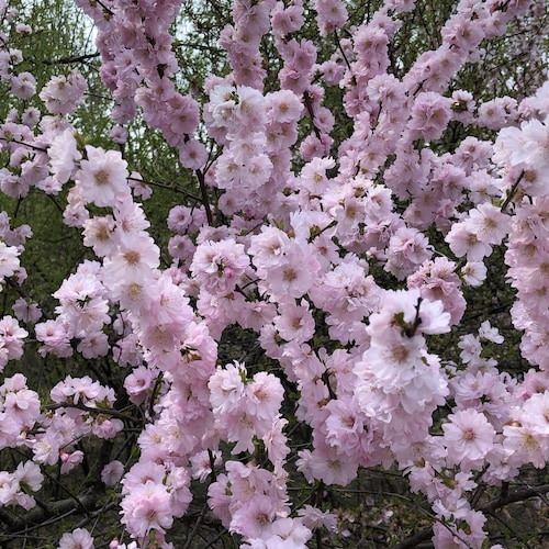 坚信黑夜终将过去，黎明就要到来。