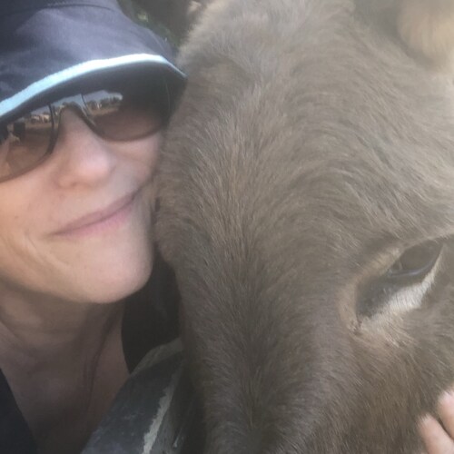 Business owner, proud Trump supporter, Constitutional Conservative. Dogs, donkeys & deer