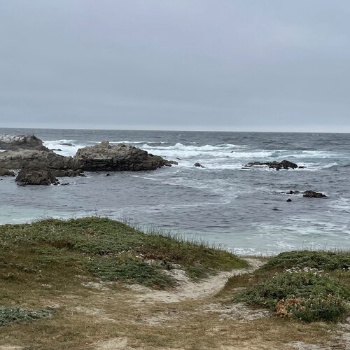 Normal critical thinking American