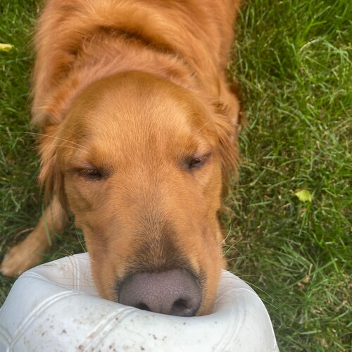 ✝️ Organist | Choral Director | Nonprofit Leader | Consultant